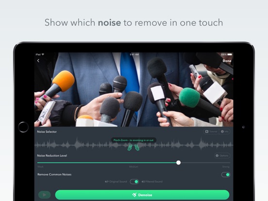 Denoise - audio noise removal iPad app afbeelding 1