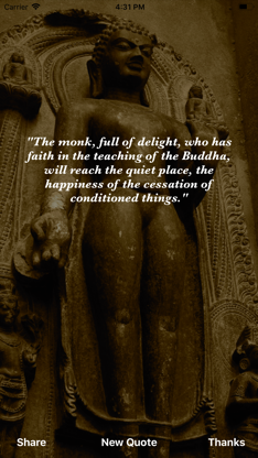 Buddha Wisdom screenshot 1