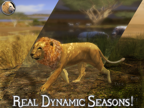 Ultimate Lion Simulator 2 iPad app afbeelding 4