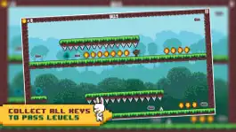 Game screenshot Rabbit Runner - Running Bunny hack