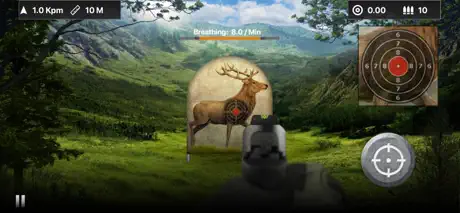 Deer Target Shooting