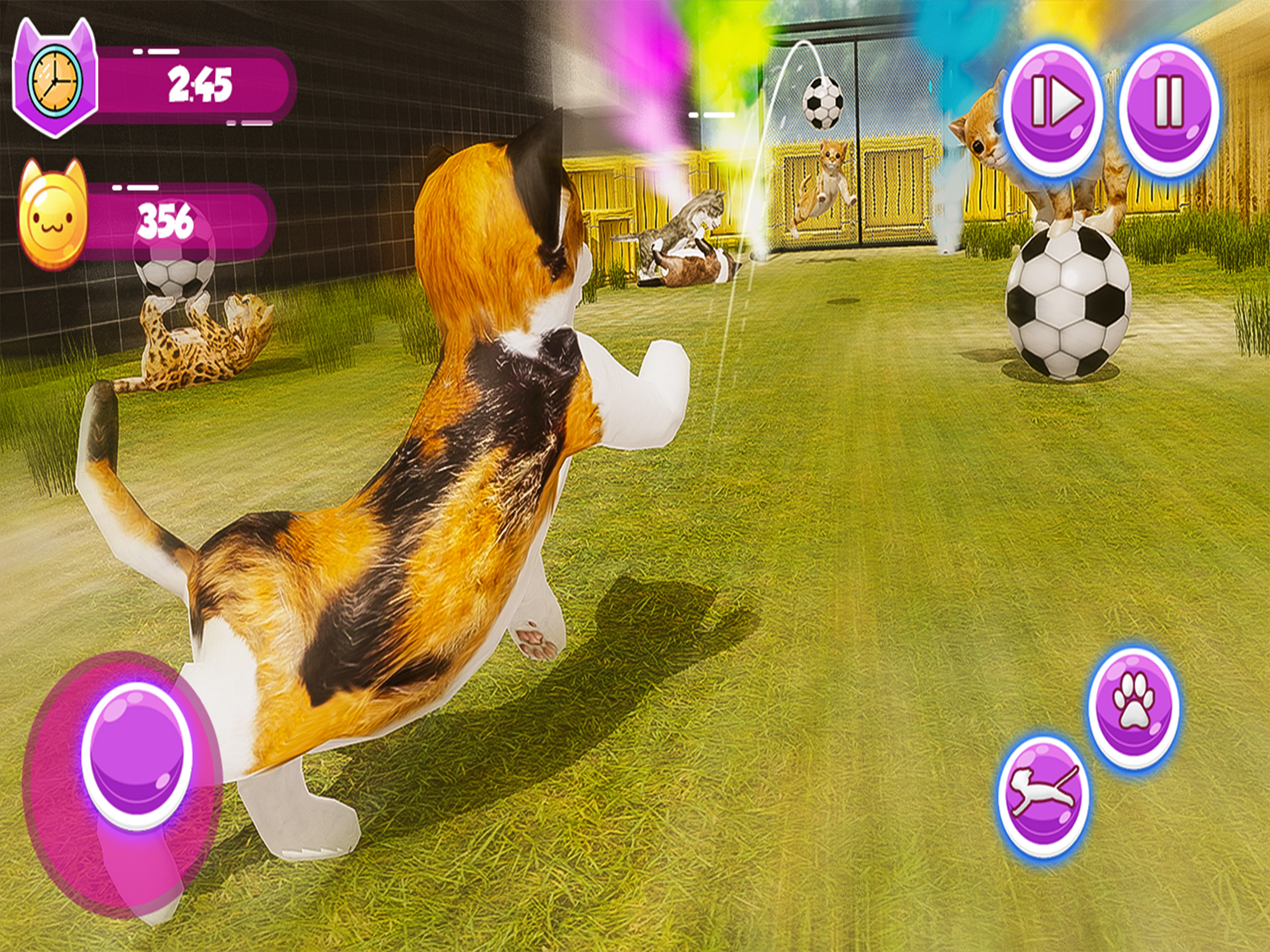 Little Kitten My Cat Simulator