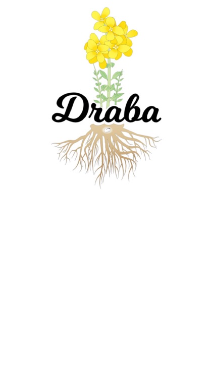 Draba