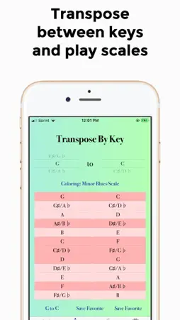 InsTranspose screenshot 2