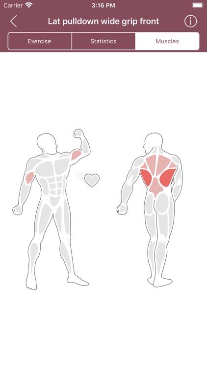 Platinum Gym screenshot-3