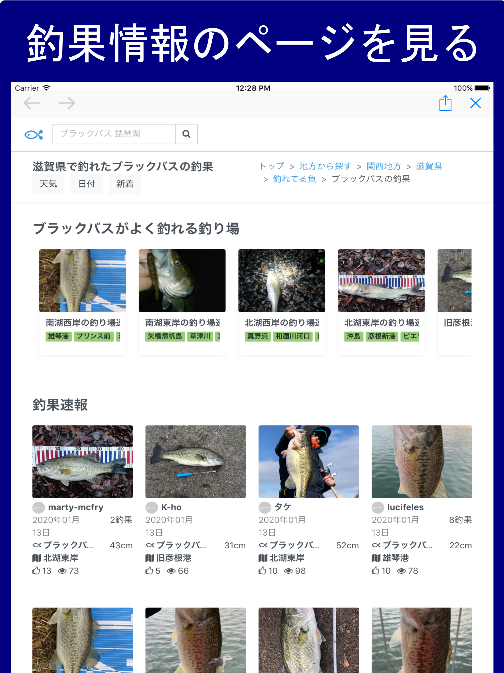 Fi 釣果情報