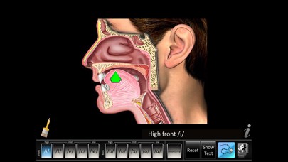 Screenshot #1 pour Vowels Front Back
