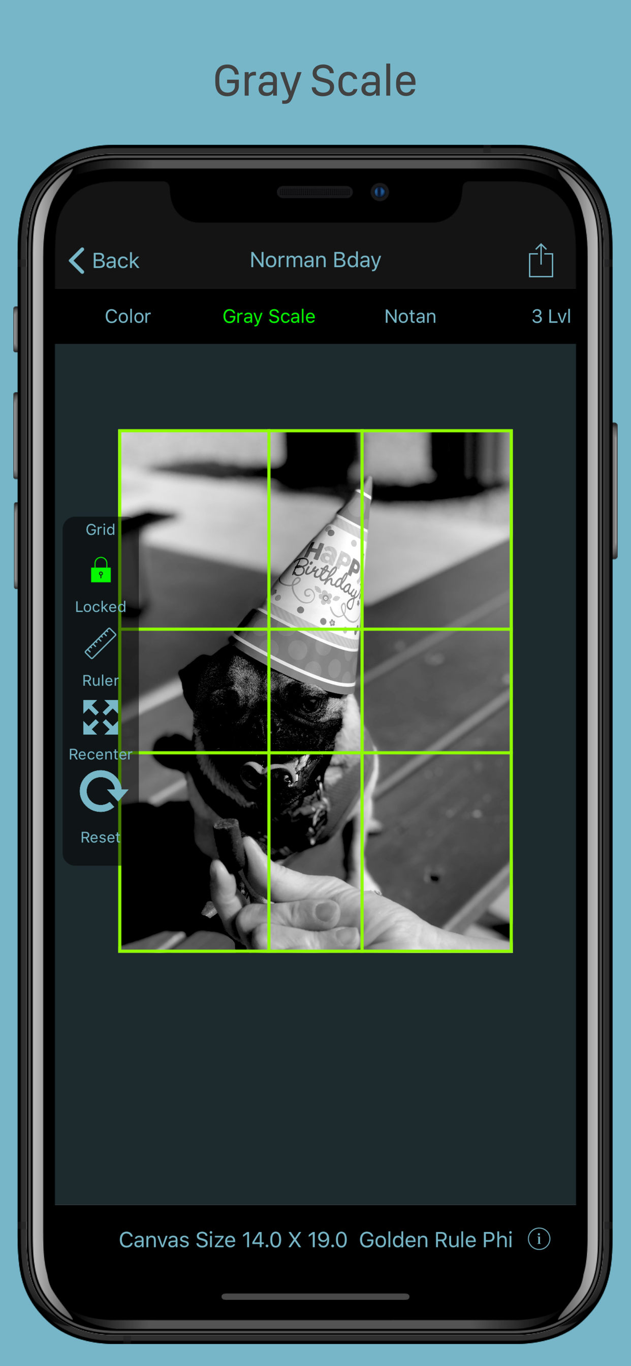 Grid Painter