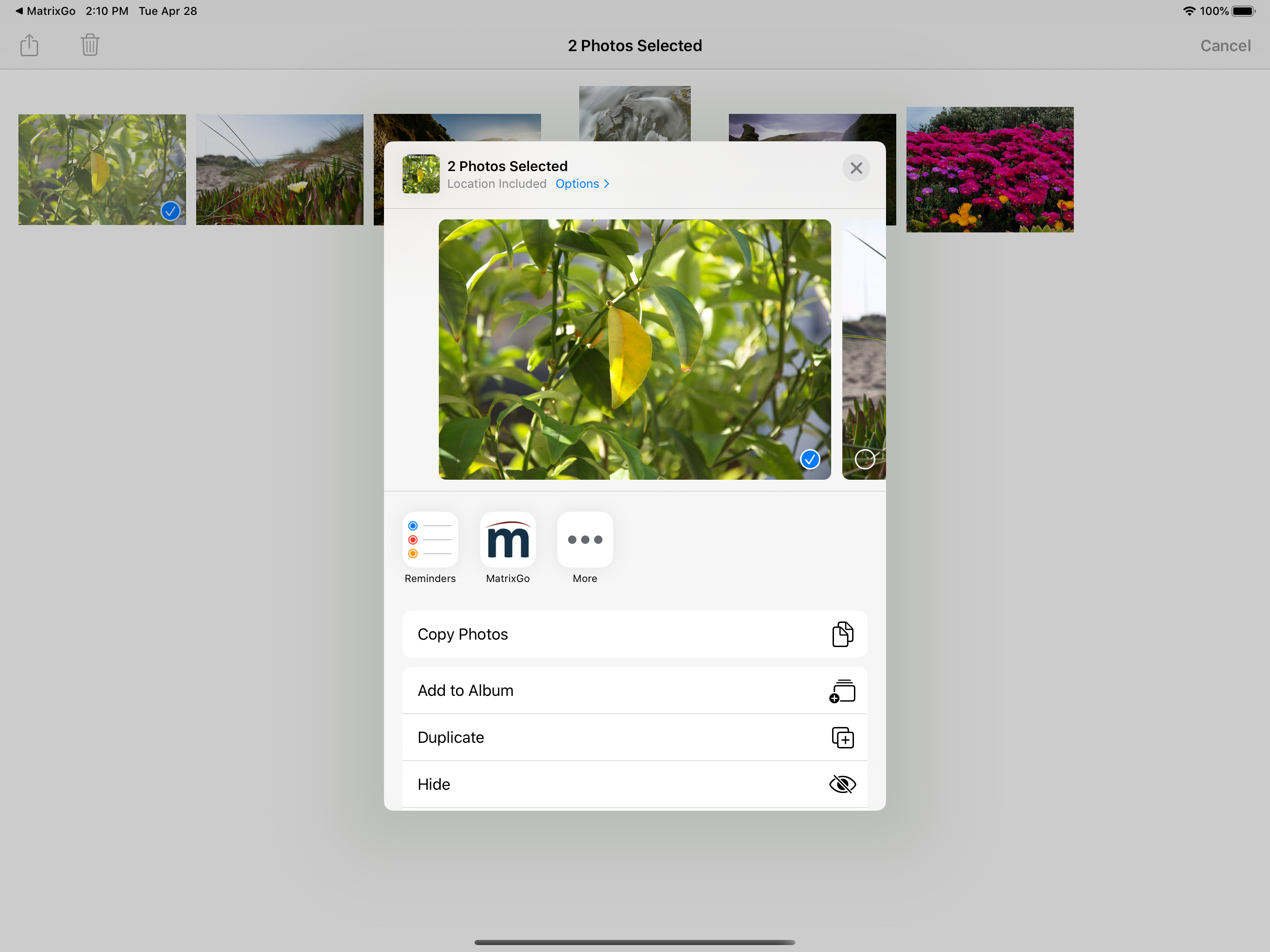 MatrixGo screenshot 14