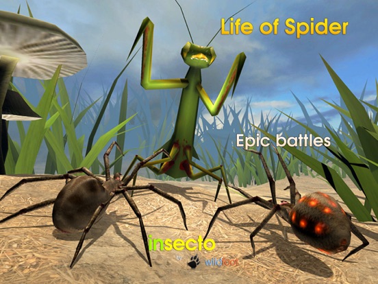Life Of Spider iPad screenshot 1 - Games app