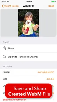 Video 2 WebM Cross Converter iphone bilder 3