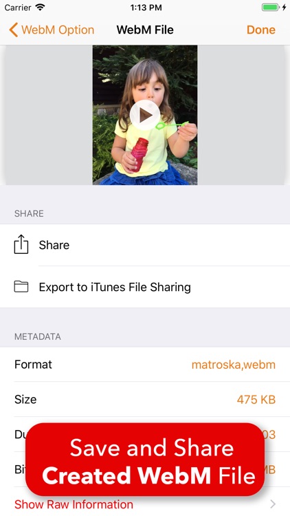 Video 2 WebM Cross Converter screenshot-3
