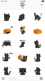 animated grumpy black cat problems & solutions and troubleshooting guide - 3