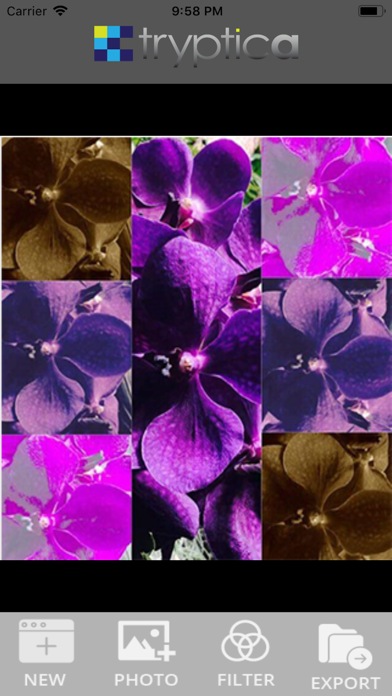 Screenshot #1 pour Tryptica