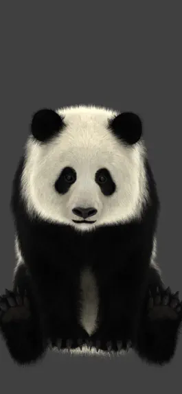Game screenshot Panda AR hack