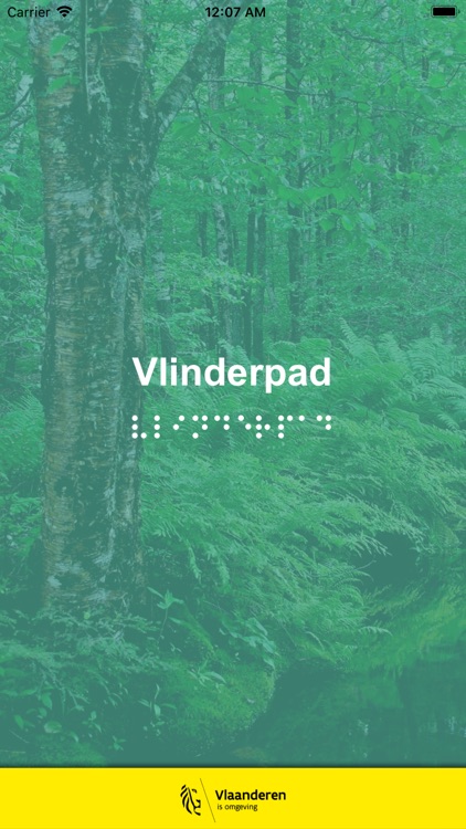 Vlinderpad