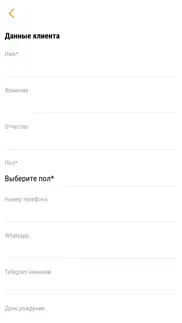 nl client айфон картинки 3