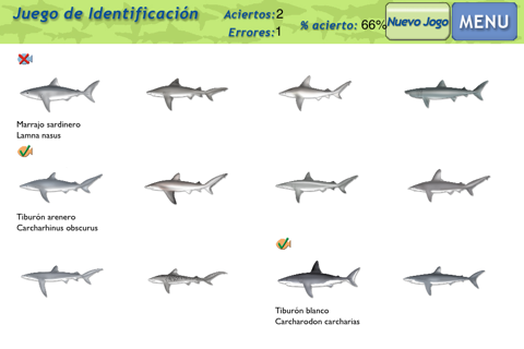 Sharks & Rays - ID Guide screenshot 3