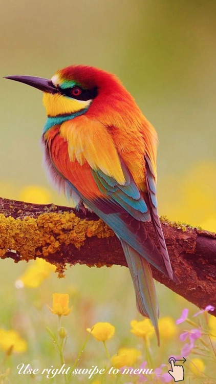 Relax. Sounds for soul