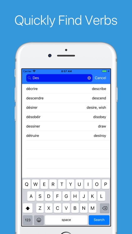French Verb Conjugator Pro screenshot-8