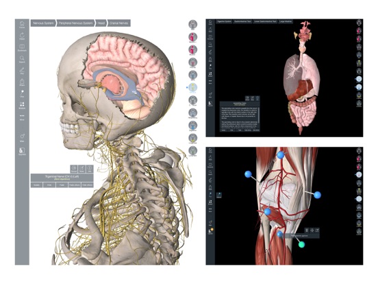 Essential Anatomy 5 Ipad images