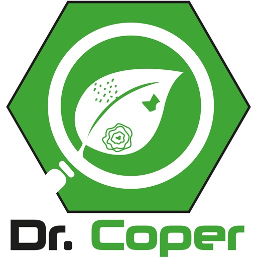 Dr Coper