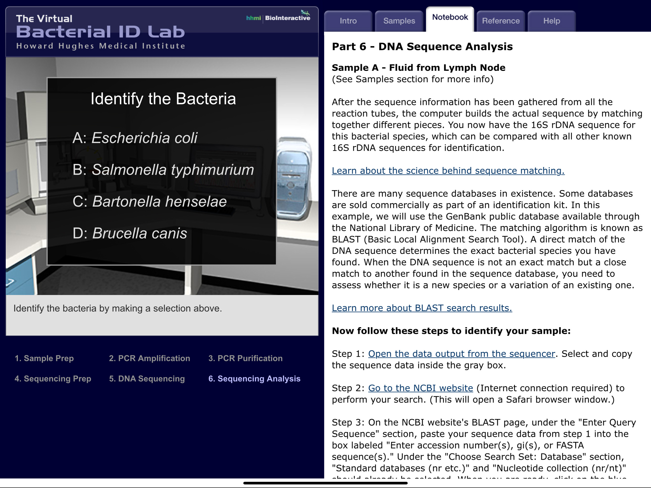 Bacterial ID Virtual Lab screenshot 5