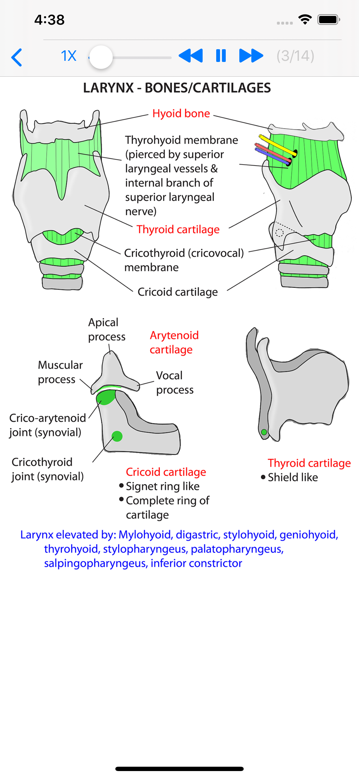 Instant Anatomy Anthology screenshot 7