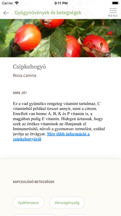 Györgytea screenshot-3