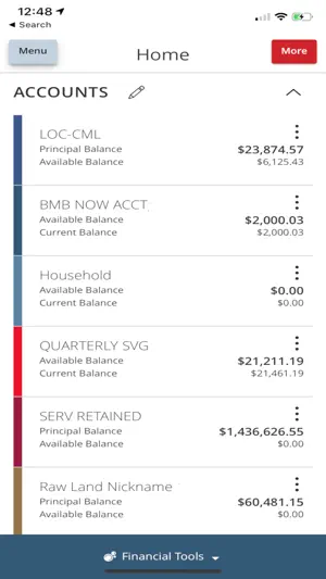 Benchmark Bank eBanking App screenshot 2