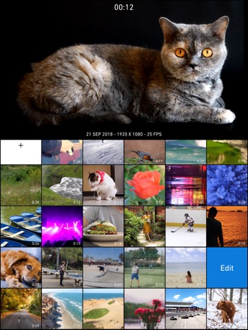 Chromic: Video Filters, Editorのおすすめ画像6