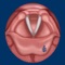 The Vocal Folds ID app helps students and patients learn and professionals teach vocal fold anatomy
