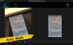 Photo Perspective Editor screenshot