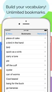 idioms and slang dictionary iphone screenshot 4