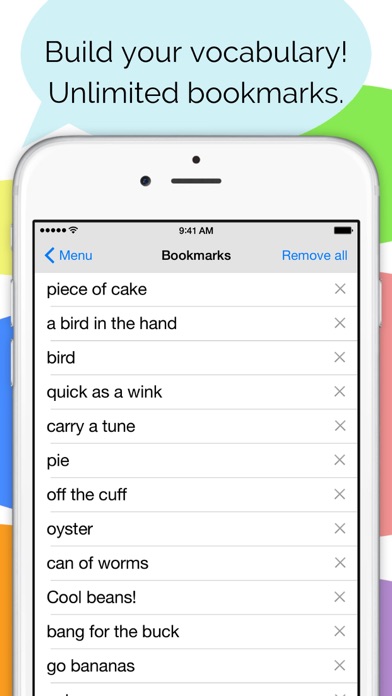 Idioms and Slang Dictionary Screenshot