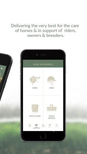 The Horse Co screenshot 3
