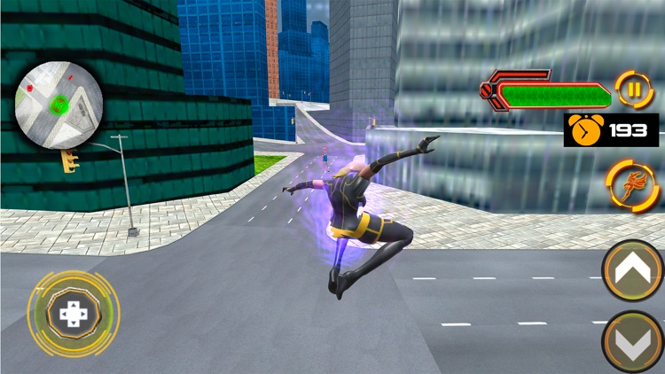 Flying Panther Superhero