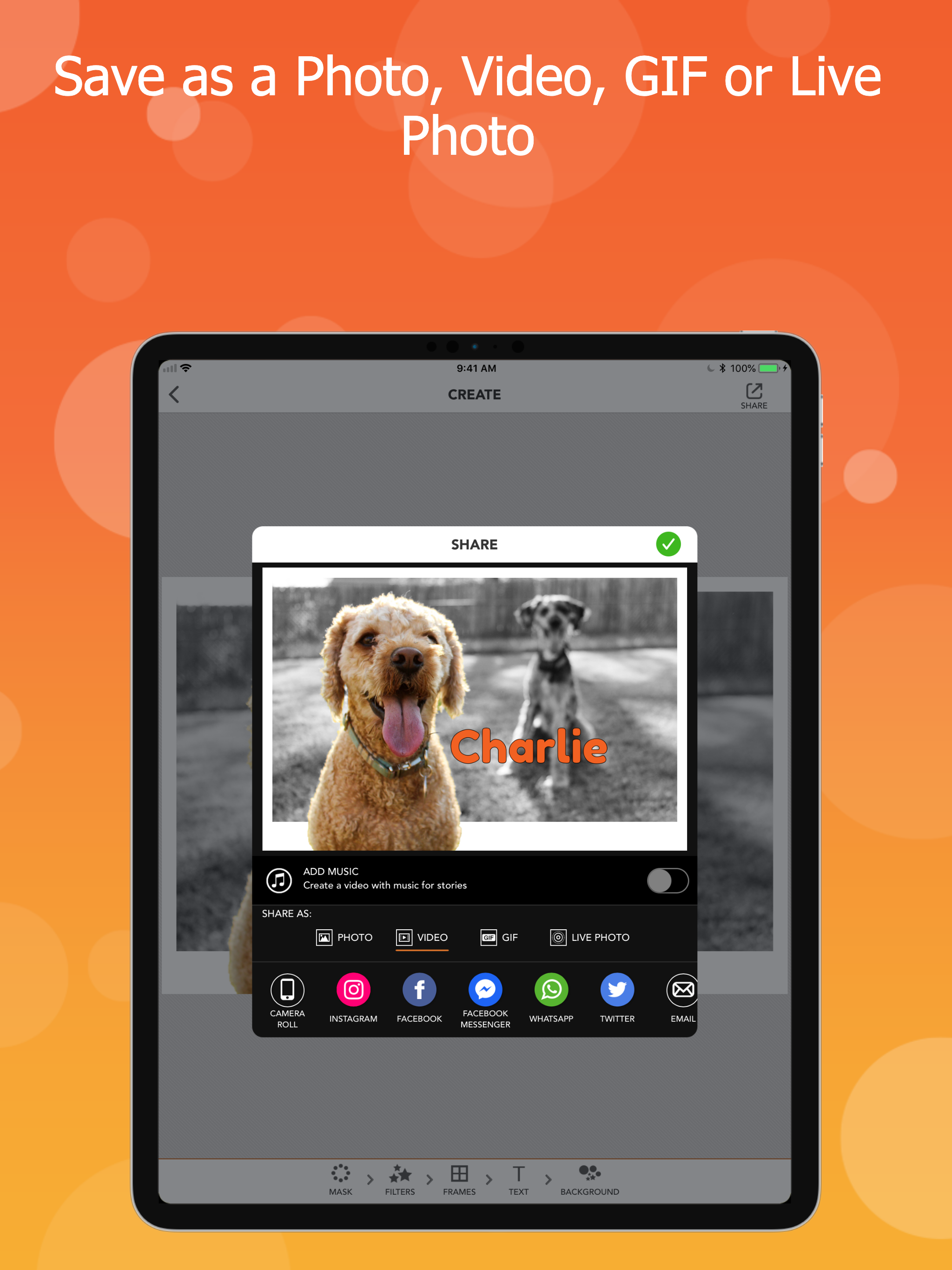 PopAGraph: Photo Editor