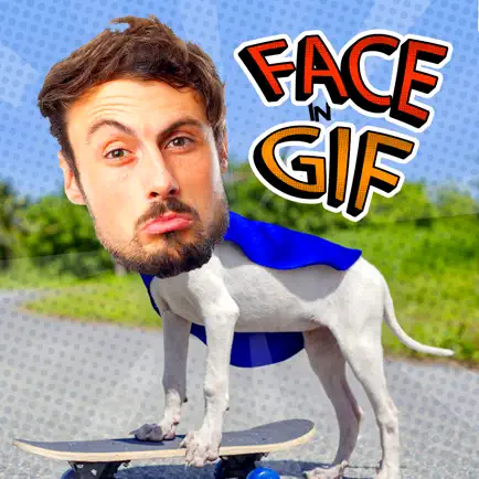 Face In Gif – create videos Cheats