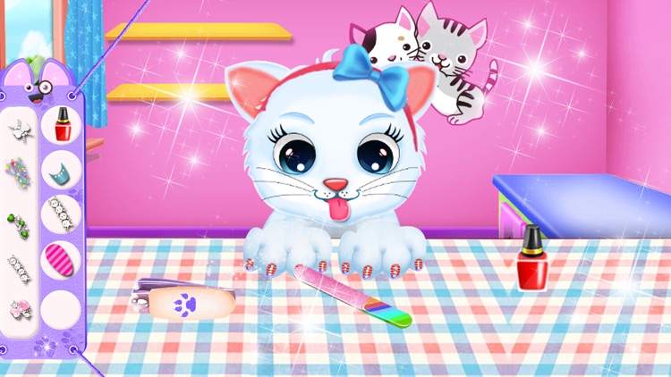 Kitty Daycare - Fluffy Pet