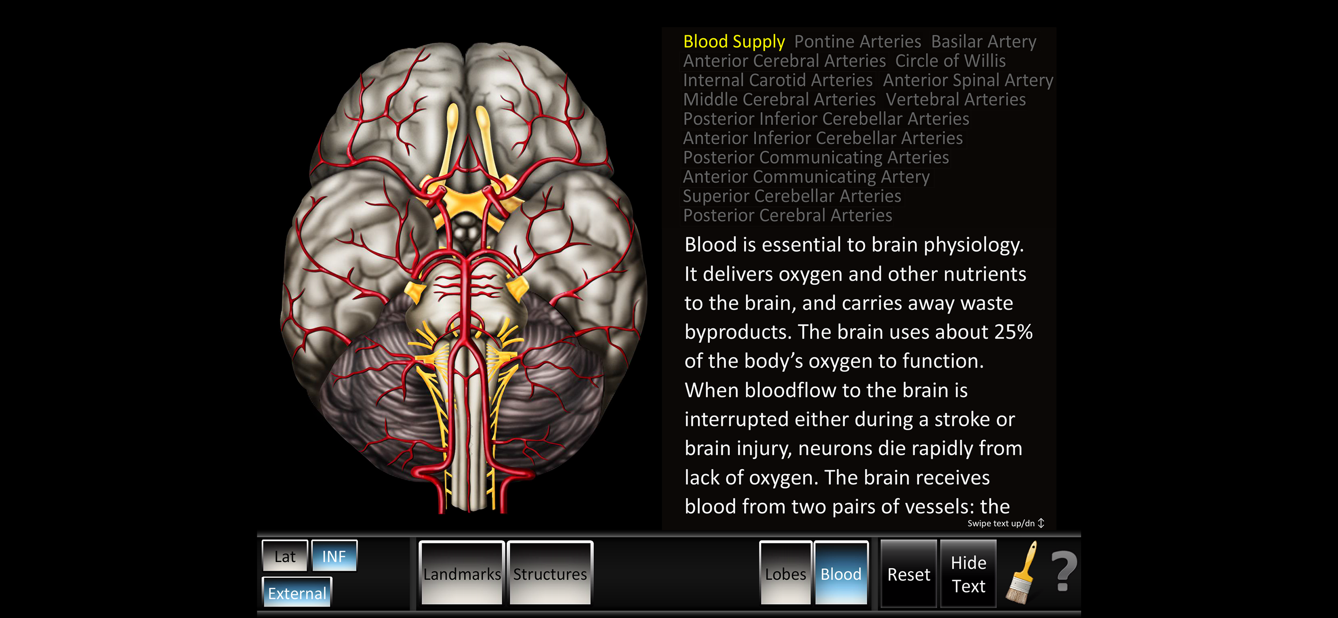 Cerebrum ID screenshot 3