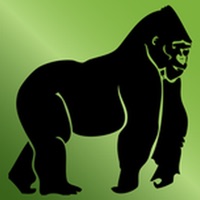 TwistedGorilla pour PC