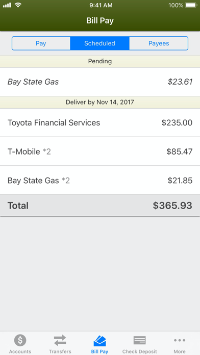 The Southern Credit Union Screenshot