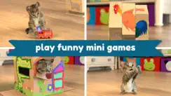 Little Kitten: Virtual Pet Cat iPhone image 2
