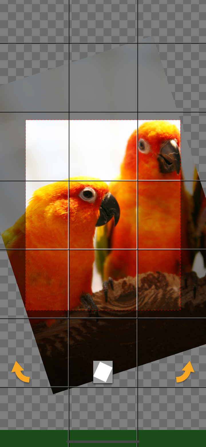 EverClipper screenshot 2