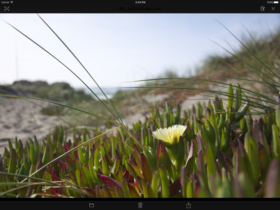 Screenshot #6 pour WebLib Plus