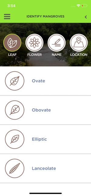 Mangrove(圖3)-速報App