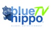 Blue Hippo TV