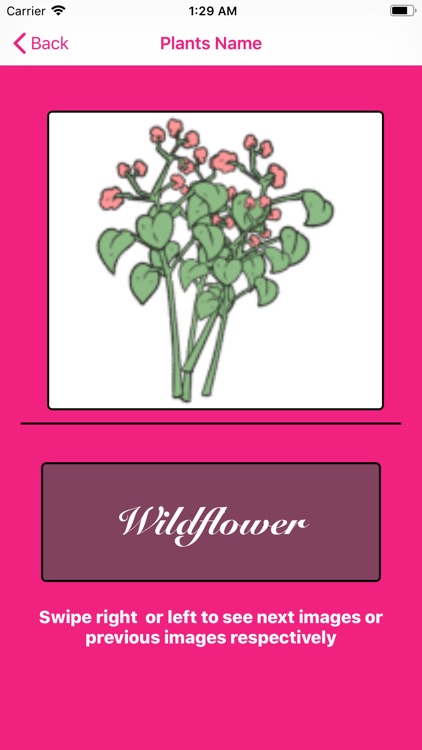 Know Plants,TreesNFlowers