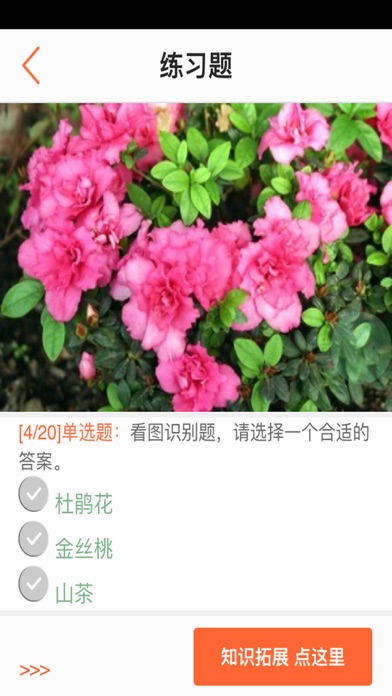 园艺识别 screenshot 2